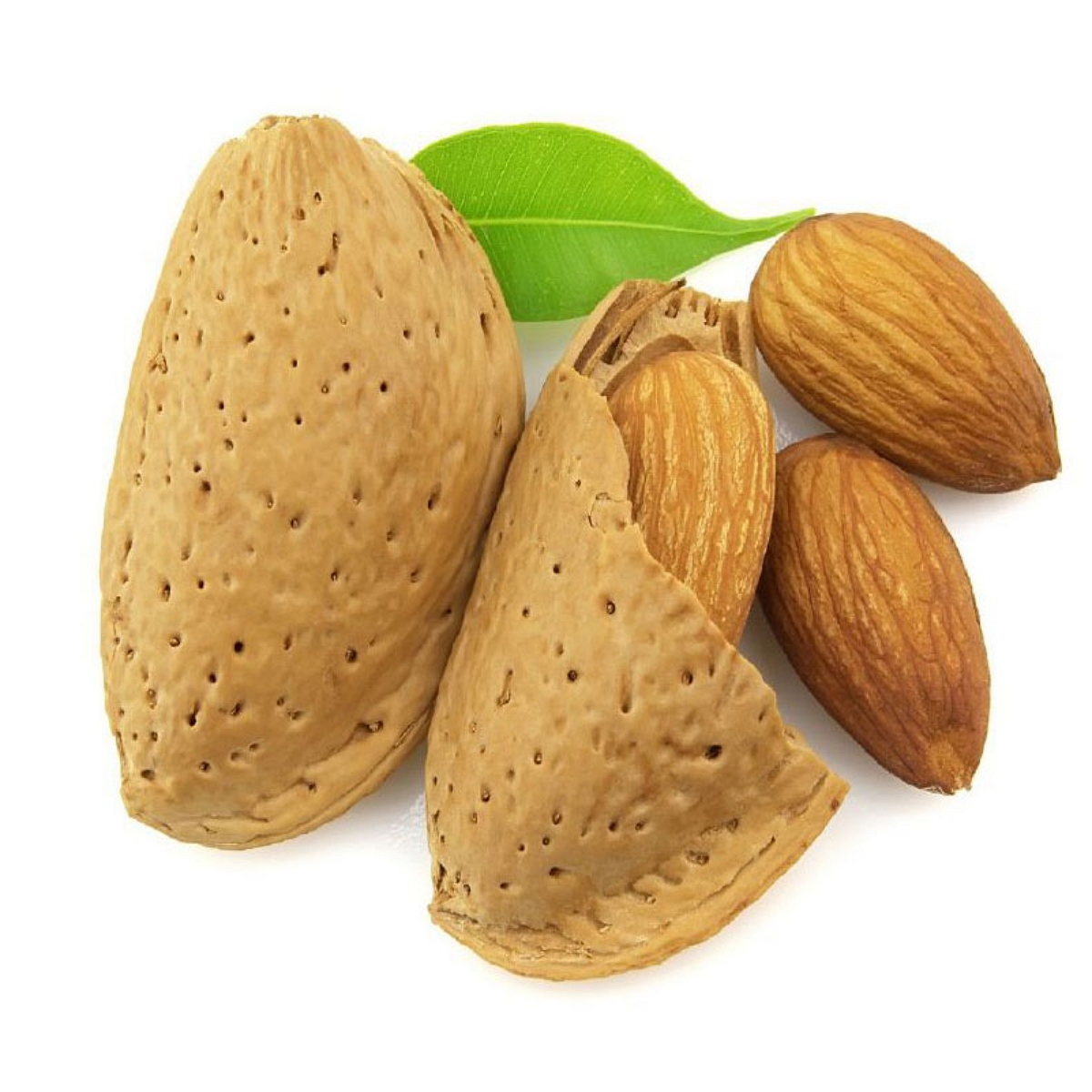 مغز بادام با کیفیت