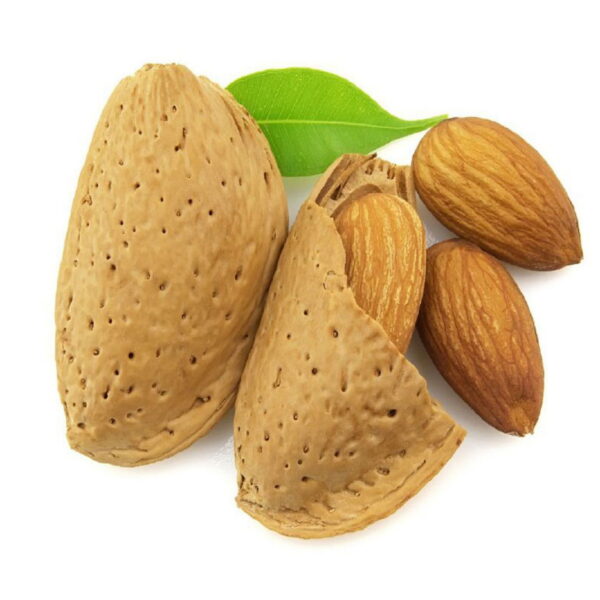 مغز بادام با کیفیت